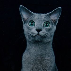 Meet your Posher, Aliali